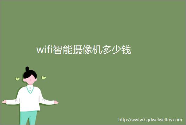 wifi智能摄像机多少钱